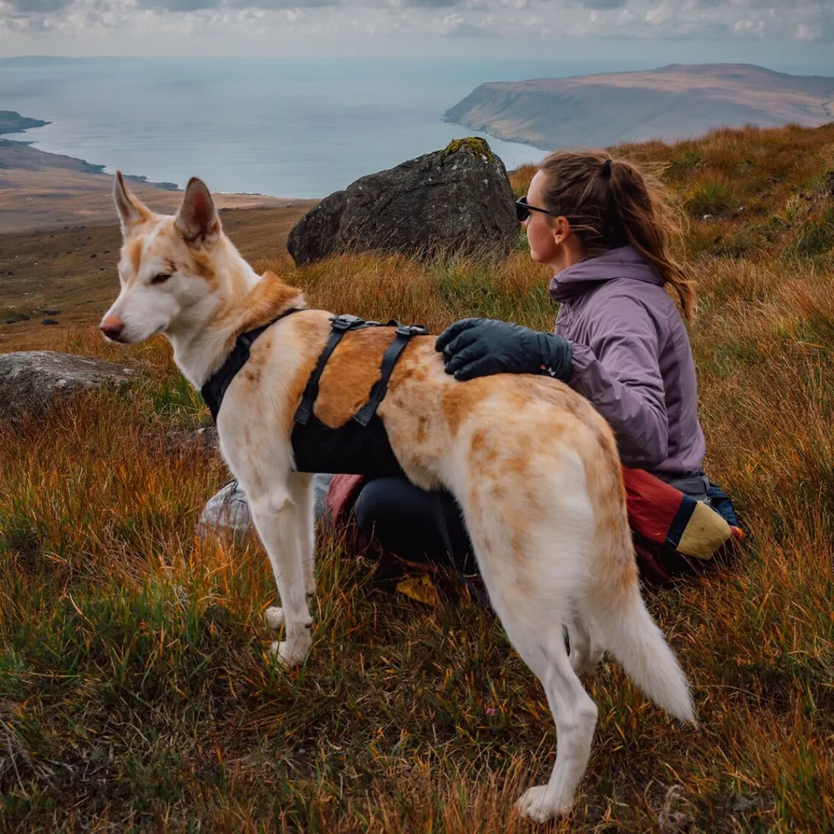 RuffWear Koiran Valjaat*Ridgeline valjaat, Obsidian Black