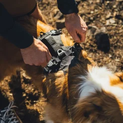 RuffWear Koiran Valjaat*Ridgeline valjaat, Obsidian Black