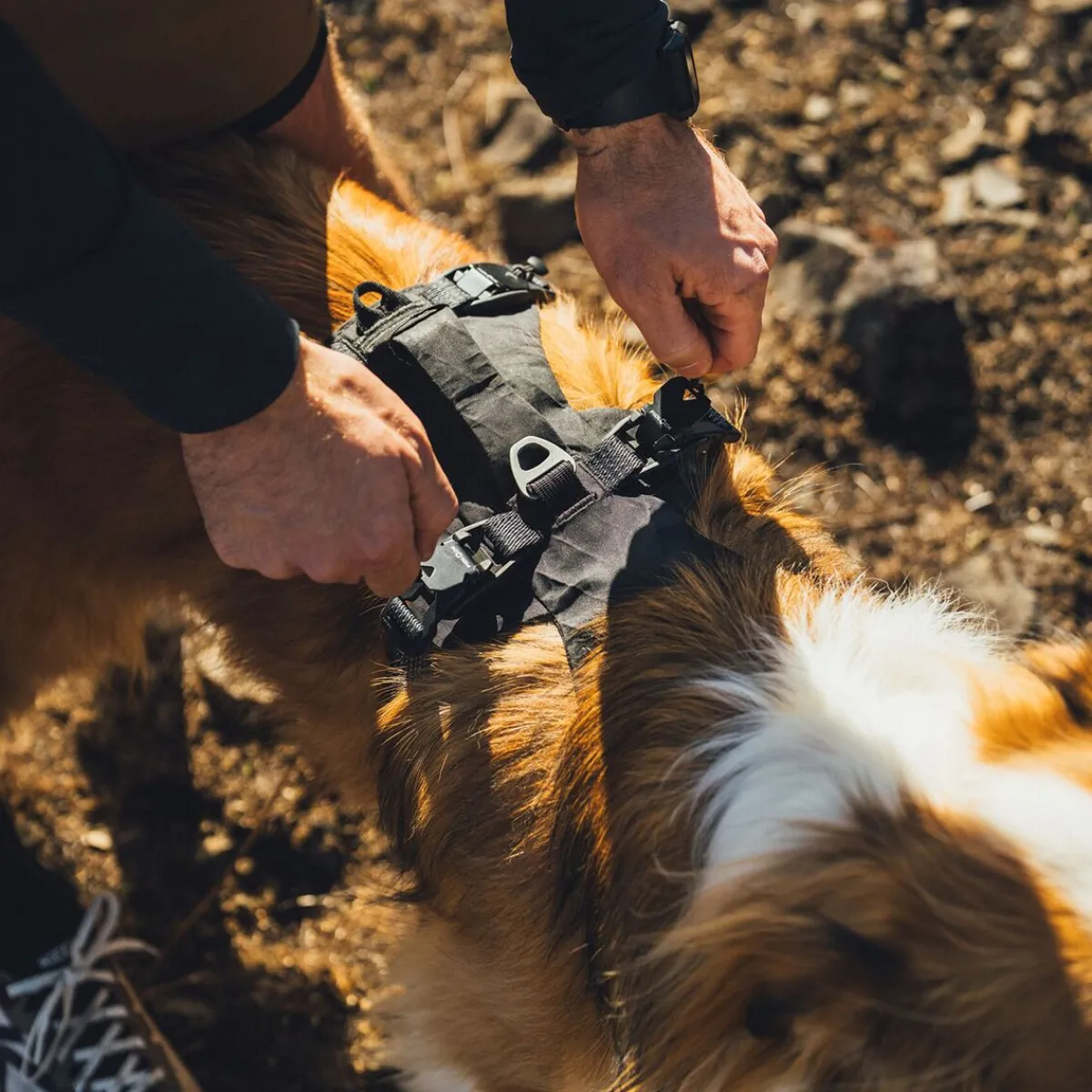 RuffWear Koiran Valjaat*Ridgeline valjaat, Obsidian Black