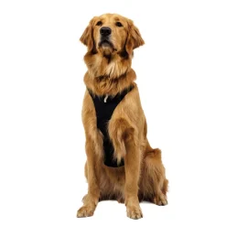 RuffWear Koiran Valjaat*Ridgeline valjaat, Obsidian Black