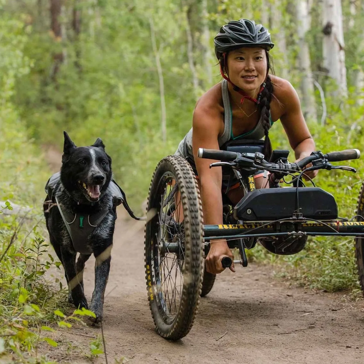RuffWear Koiran Hihnat Ja Flexit|Retkeily Koiran Kanssa*Roamer joustotalutin, harmaa