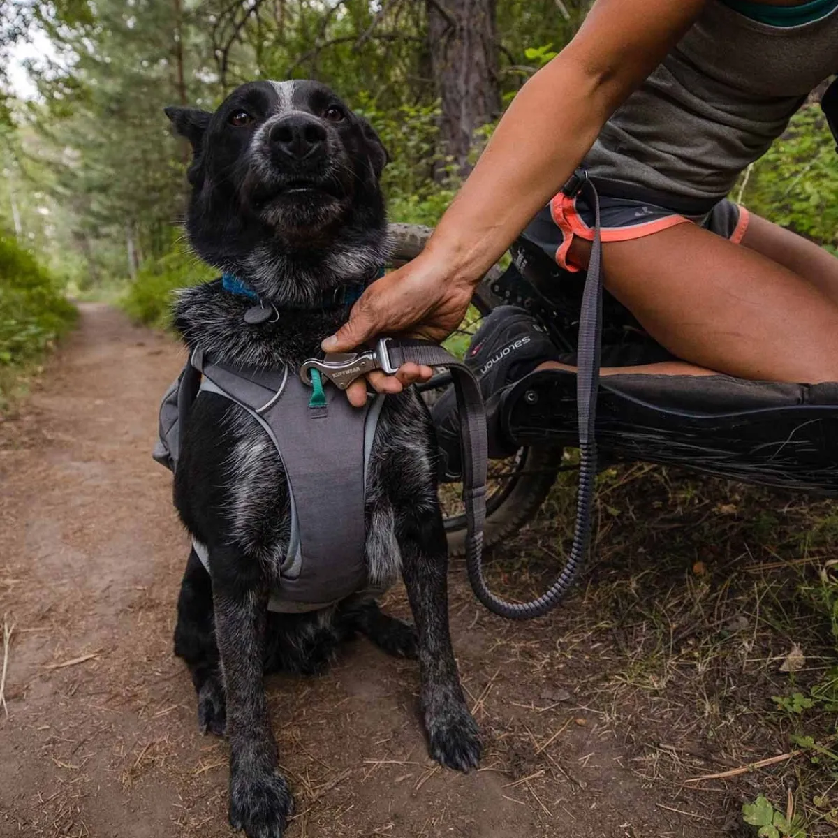 RuffWear Koiran Hihnat Ja Flexit|Retkeily Koiran Kanssa*Roamer joustotalutin, harmaa