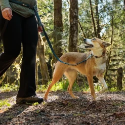 RuffWear Koiran Hihnat Ja Flexit*Roamer joustotalutin, River Rock Green