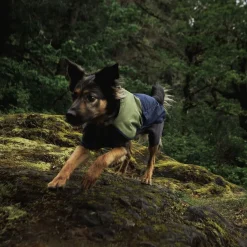 RuffWear Koiran Takit|Koiran Haalarit*Sun Shower sadehaalari, Midnight Blue