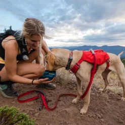RuffWear Koiran Valjaat*Switchbak -koiran valjaat, punainen