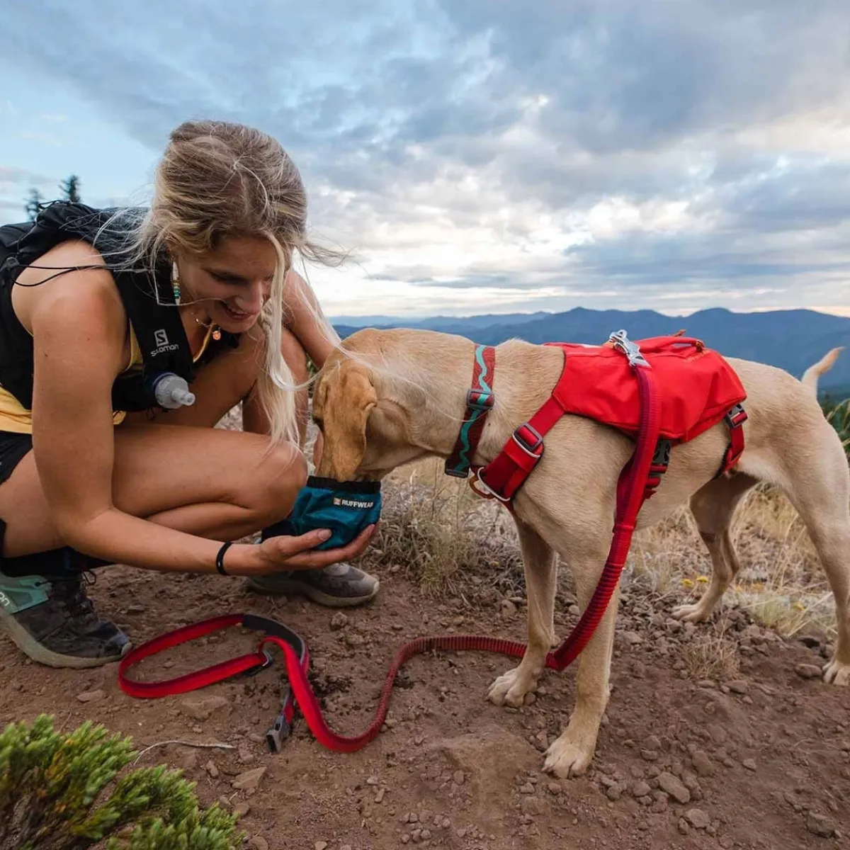 RuffWear Koiran Valjaat*Switchbak -koiran valjaat, punainen