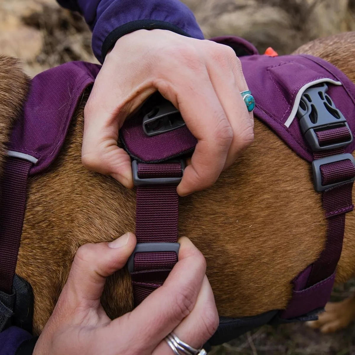 RuffWear Koiran Valjaat*Web Master monitoimivaljaat, violetti