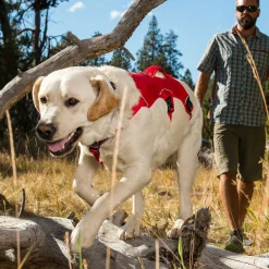 RuffWear Koiran Valjaat*Webmaster valjaat, harmaa