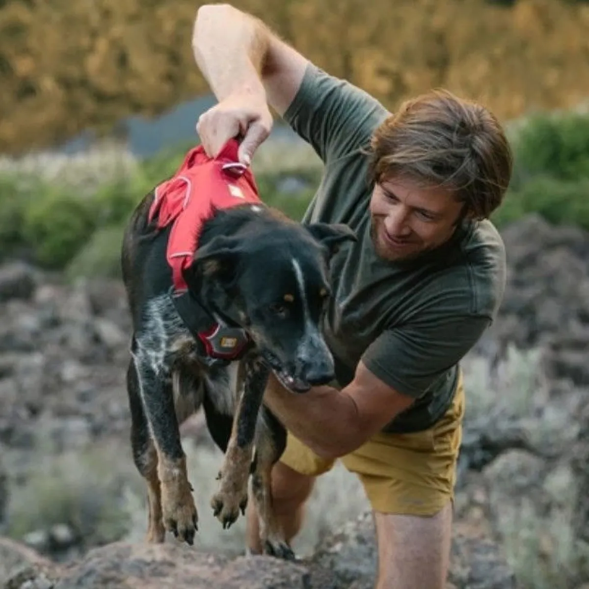 RuffWear Koiran Valjaat*Webmaster valjaat, harmaa