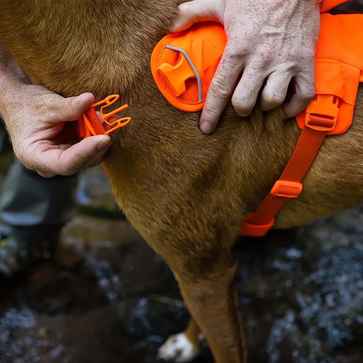 RuffWear Koiran Valjaat*Web Master valjaat koiralle, Blaze Orange