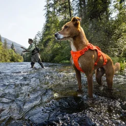RuffWear Koiran Valjaat*Web Master valjaat koiralle, Blaze Orange