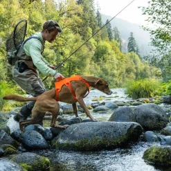 RuffWear Koiran Valjaat*Web Master valjaat koiralle, Blaze Orange