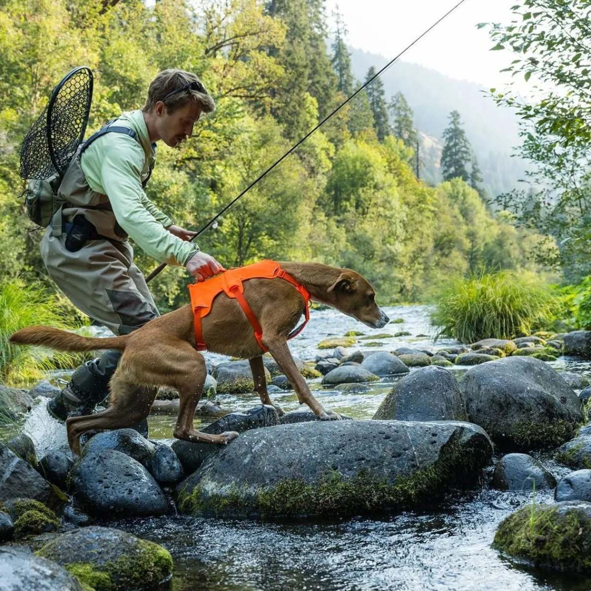 RuffWear Koiran Valjaat*Web Master valjaat koiralle, Blaze Orange