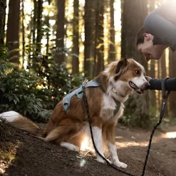 RuffWear Koiran Valjaat*Web Master, valjas River Rock Green