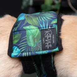 RuttuNuttu Koiran Narttu- Ja Urossuojat|Koiran Juoksuhousut Ja Urosvyöt*urosvyö, Jungle monstera