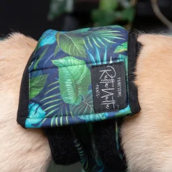 RuttuNuttu Koiran Narttu- Ja Urossuojat|Koiran Juoksuhousut Ja Urosvyöt*urosvyö, Jungle monstera