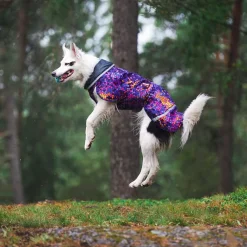 Pomppa Koiran Vaatteet*Sade koiran takki, cosmos