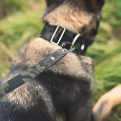 Salmiakkitassu Koiran Hihnat Ja Flexit*multicam talutin twistlockilla, 250cm