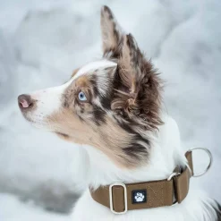 Salmiakkitassu Koiran Pannat*puolikiristävä panta, kojootti