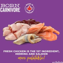 Schesir Viljaton Kissanruoka|Kissan Kuivaruoka*Born Carnivore kana & silli
