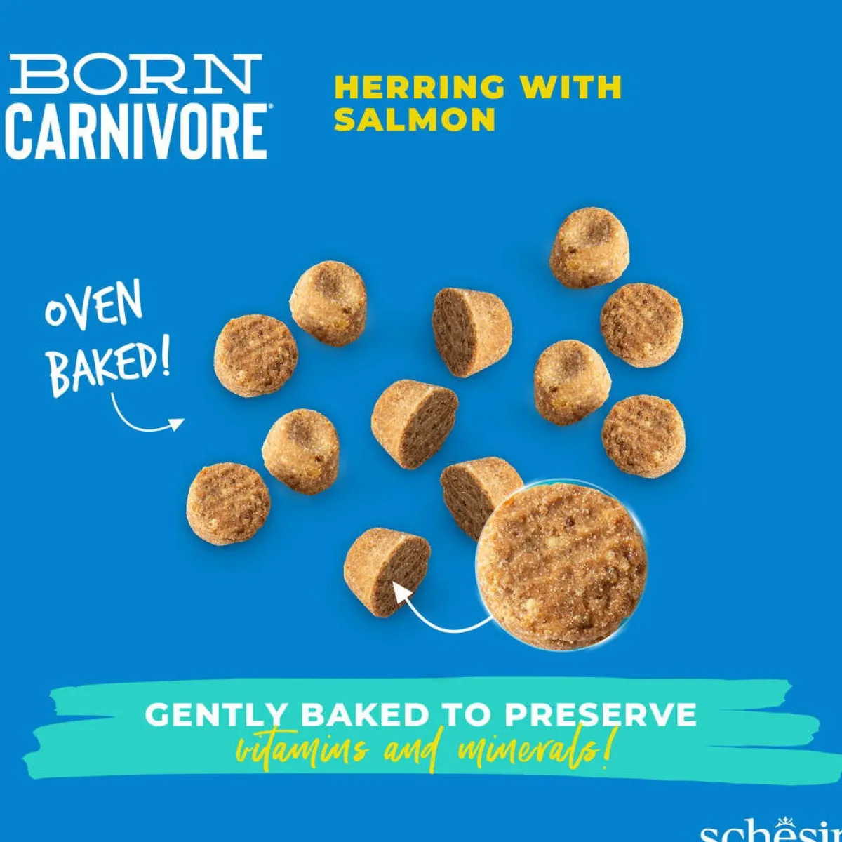 Schesir Viljaton Kissanruoka|Kissan Kuivaruoka*Born Carnivore silli & lohi