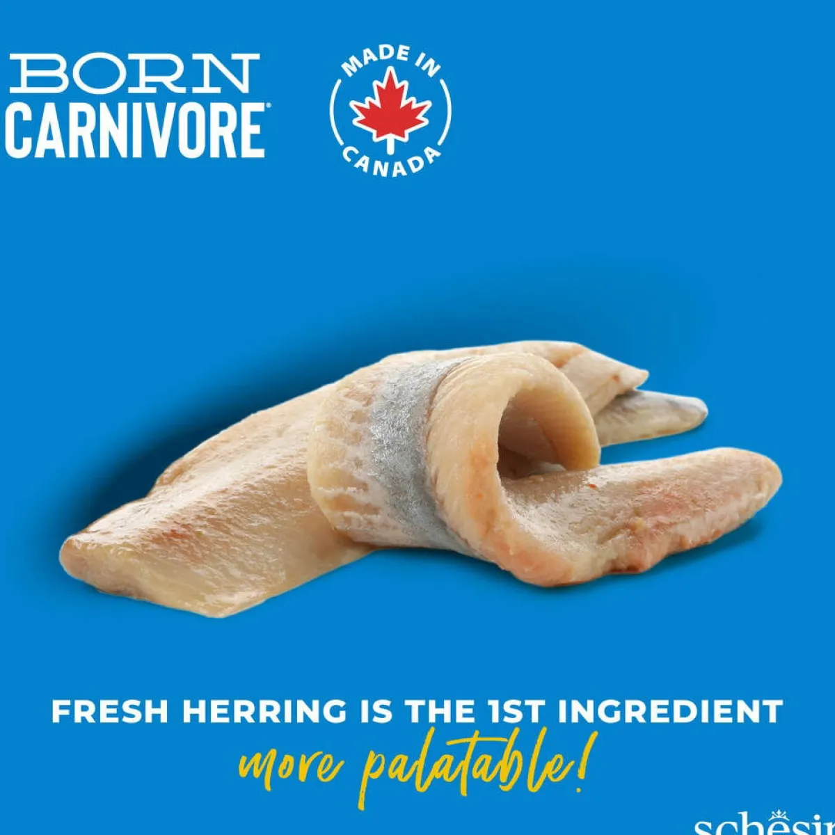 Schesir Viljaton Kissanruoka|Kissan Kuivaruoka*Born Carnivore silli & lohi