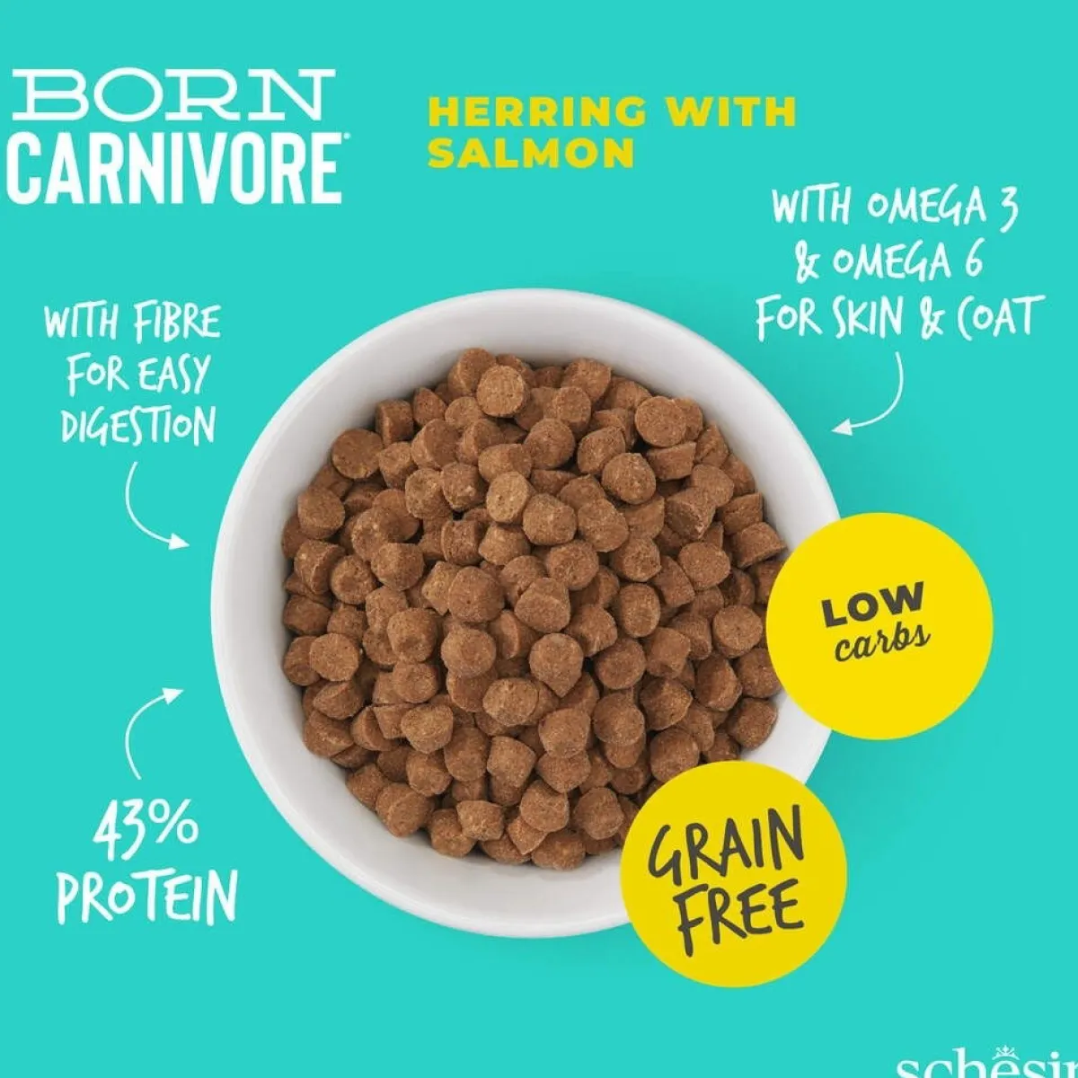 Schesir Viljaton Kissanruoka|Kissan Kuivaruoka*Born Carnivore silli & lohi