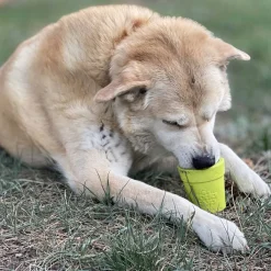 SodaPup Ahmimisenestokupit Ja Nuolumatot|Koiran Aktivointilelut Ja -Pelit*Flower Pot