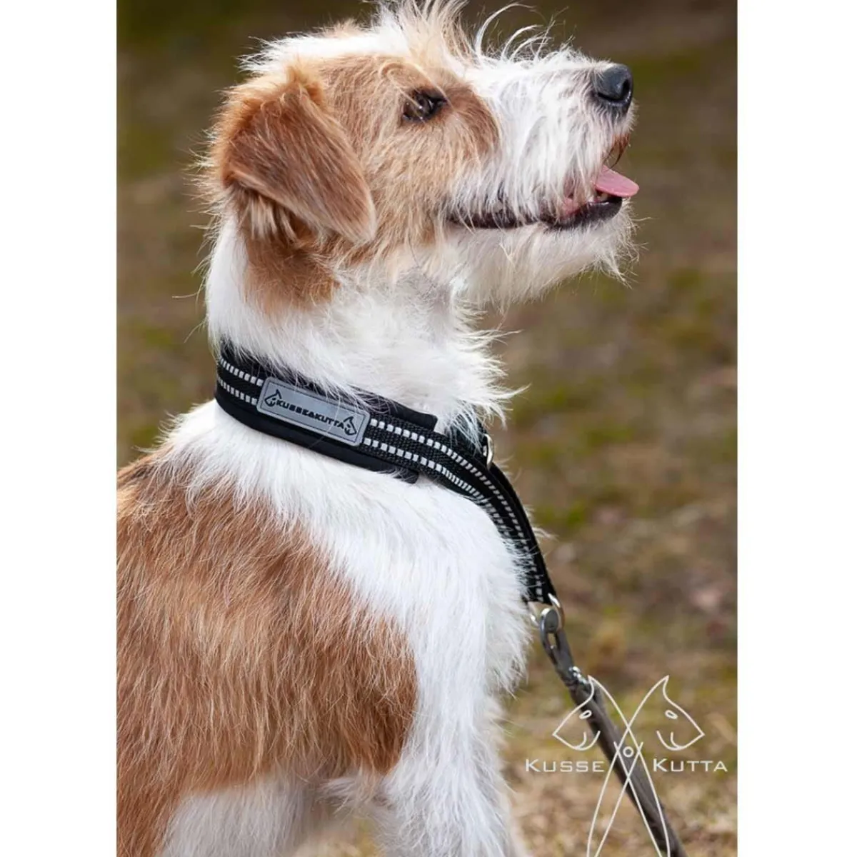 Kusse & Kutta Koiran Pannat*Softshell-panta Kusse&Kutta musta