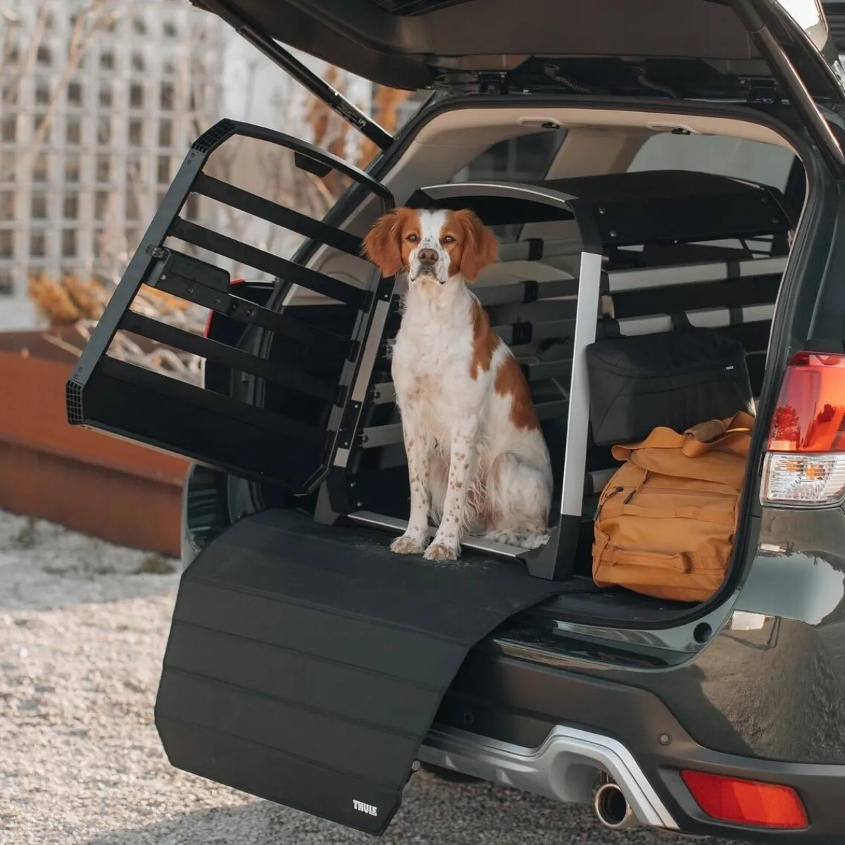 Thule Häkit|Autohäkit*Allax Autohäkki