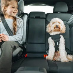 Thule Häkit|Turvavyöt, -Valjaat Ja Autoistuimet*Cappy -autovaljaat