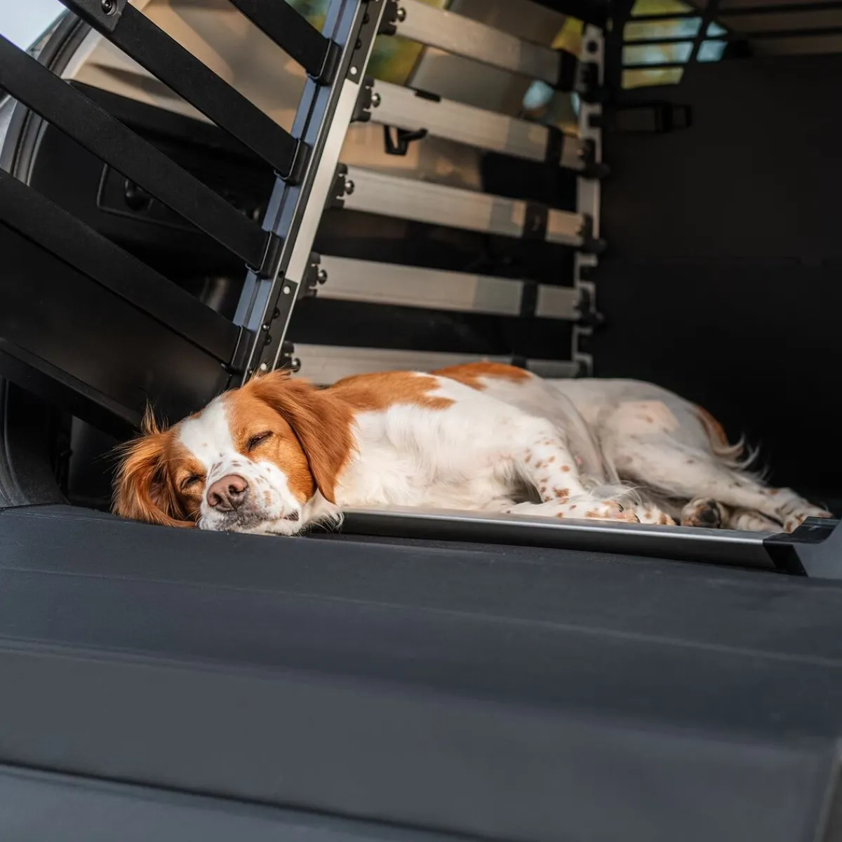 Thule Häkit|Autorampit, Koiraveräjät Ja Autonsuojat*Double -häkkimatto