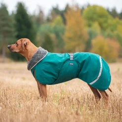 Pomppa Koiran Vaatteet|Koiran Talvitakit*Toppa valjasaukolla, Forest