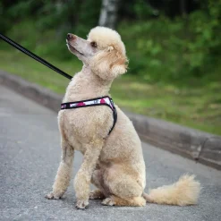 TrePonti Koiran Valjaat*Tre Ponti säädettävät valjaat, pink camo