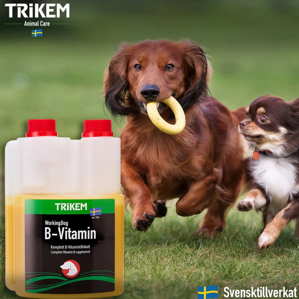 Trikem Öljyt, Vitamiinit Ja Lisäravinteet|Hoito Ja Terveys*WorkingDog B-vitamiini koiralle