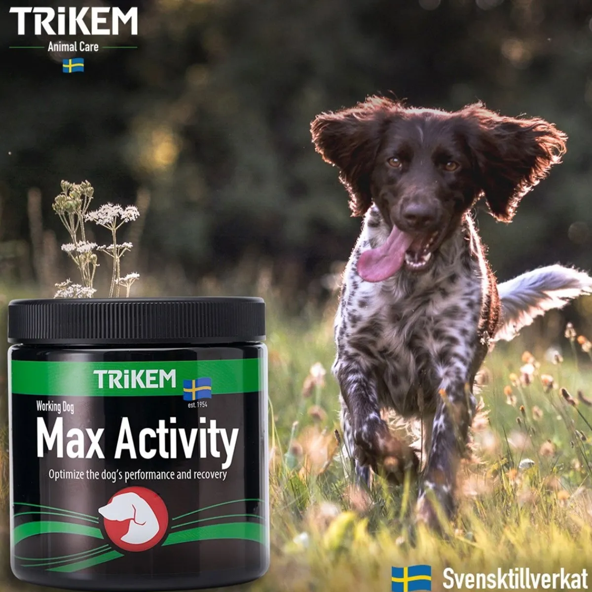 Trikem Öljyt, Vitamiinit Ja Lisäravinteet|Hoito Ja Terveys*WorkingDog Max Activity