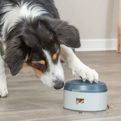 Trixie Koiran Aktivointilelut Ja -Pelit*Dog Activity Buzzer