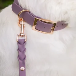 Tyylivoitto Koiran Hihnat Ja Flexit*Braid hihna, mauve/ruusukulta