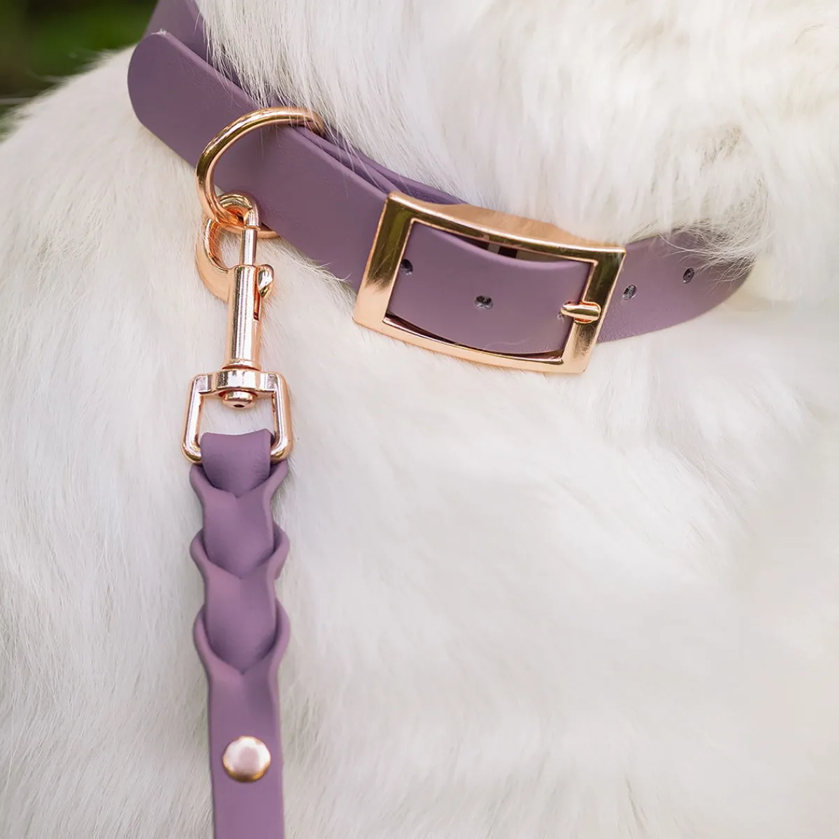 Tyylivoitto Koiran Hihnat Ja Flexit*Braid hihna, mauve/ruusukulta