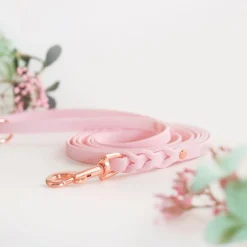 Tyylivoitto Koiran Hihnat Ja Flexit*Braid talutin, baby pink/ruusukulta