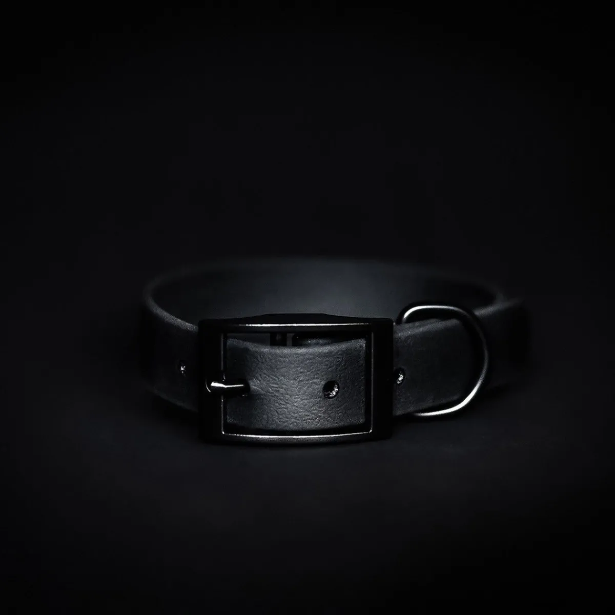 Tyylivoitto Koiran Pannat*Classy panta, Black on Black