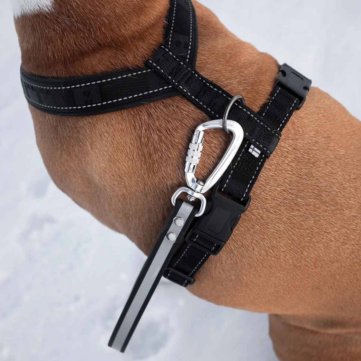 Tyylivoitto Koiran Heijastimet Ja Valot|Koiran Hihnat Ja Flexit*Ready käsilenkki Twistlock