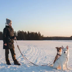 Tyylivoitto Koiran Heijastimet Ja Valot|Koiran Hihnat Ja Flexit*Ready käsilenkki Twistlock