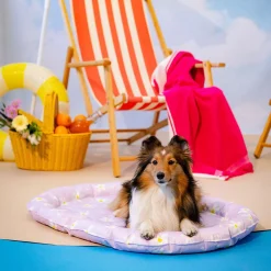 Little&Bigger Koiran Pedit Ja Alustat|Viilennysmatot*Viilennyspeti HotSummer, liila