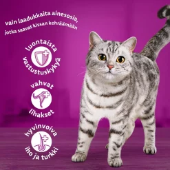 Whiskas Kissan Märkäruoka*Classic meals in jelly 60x85g