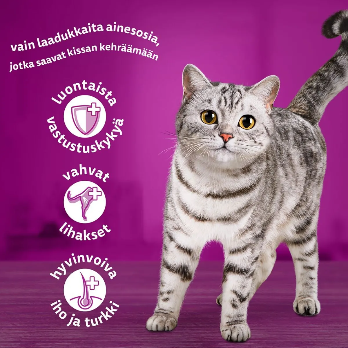 Whiskas Kissan Märkäruoka*Classic meals in jelly 60x85g