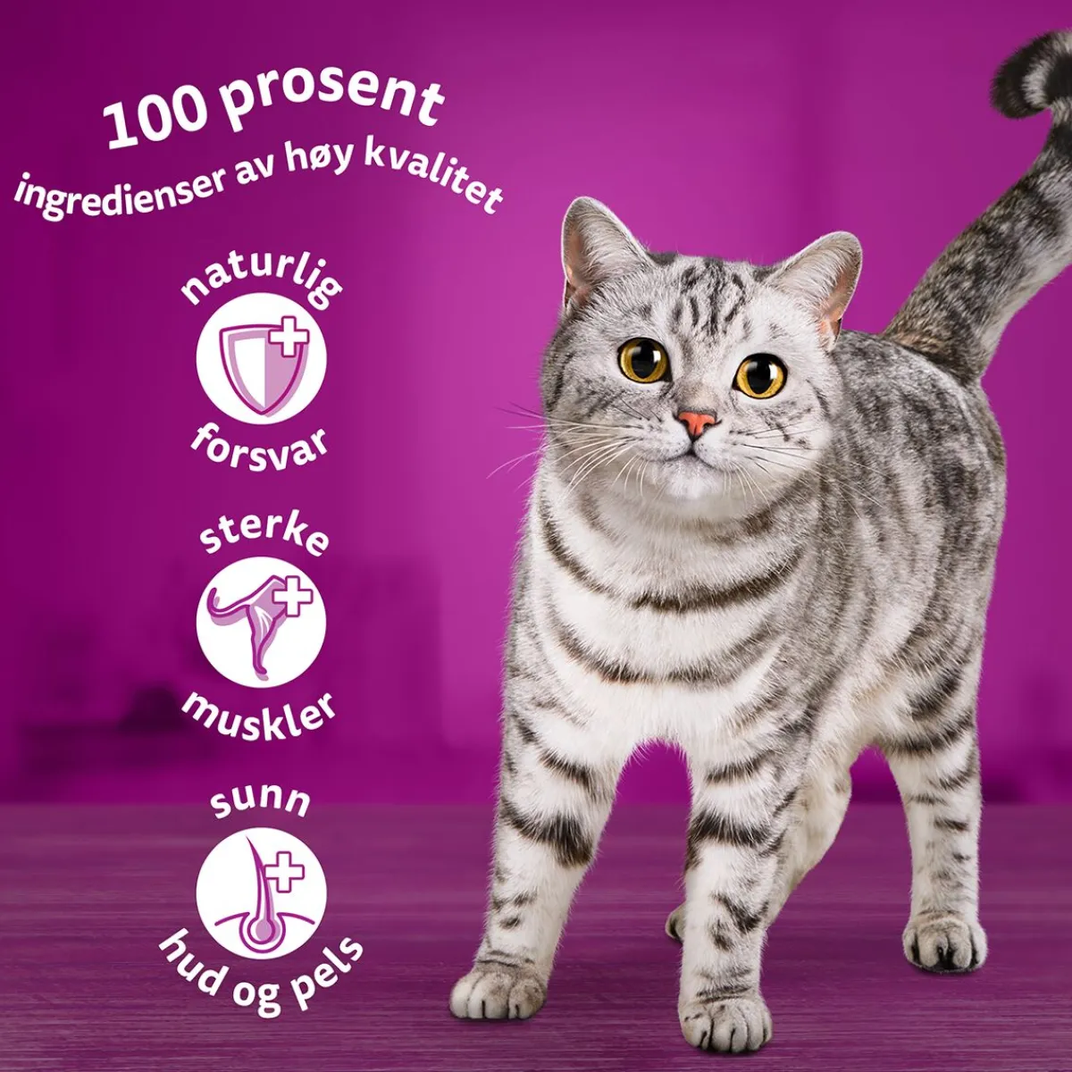 Whiskas Kissan Märkäruoka*Classic meals in jelly 60x85g