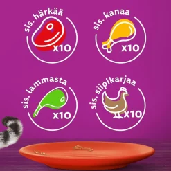 Whiskas Kissan Märkäruoka*1+ gravy 40x85 g