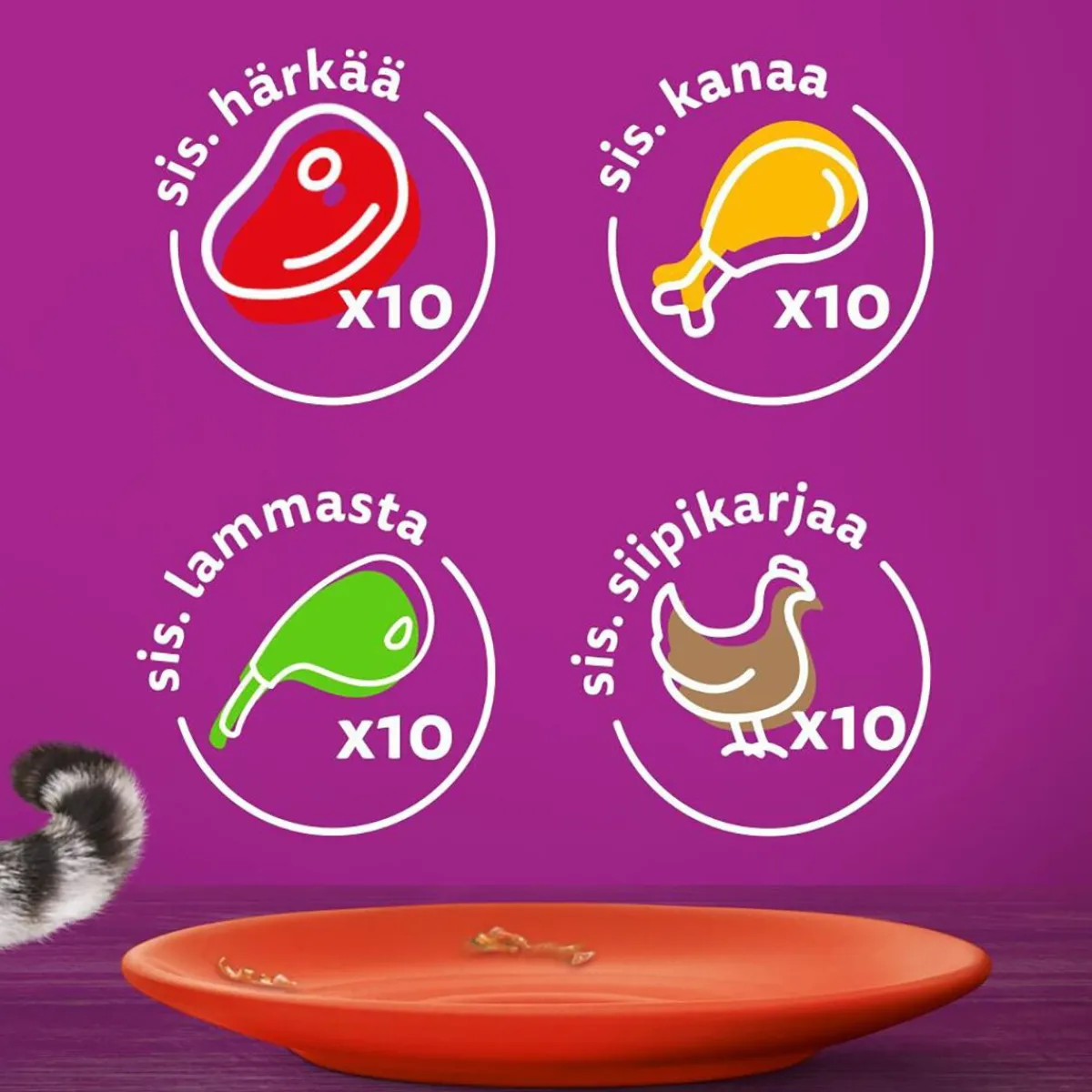 Whiskas Kissan Märkäruoka*1+ gravy 40x85 g