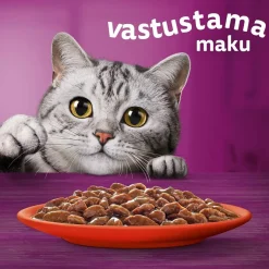 Whiskas Kissan Märkäruoka*1+ gravy 40x85 g